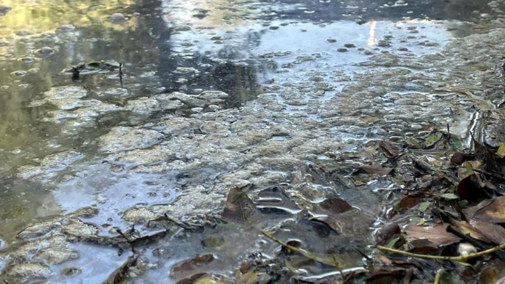 1200 X 675 Px - 2024-12-30t125643562 - Enbroncados Descarga De Aguas Negras En La Chueca Genera Alarma Ambiental.