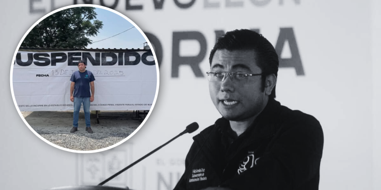 Pollos "reyna" - Enbroncados Pollos "reyna" - Enbroncados