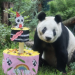 Xin Xin - Enbroncados Xin Xin - Enbroncados