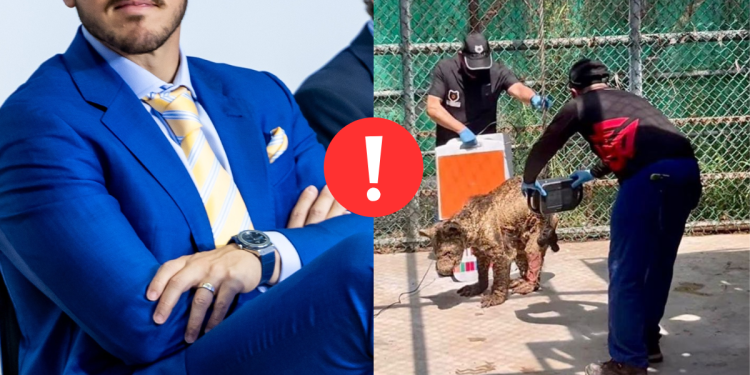 Osa Mina - Enbroncados