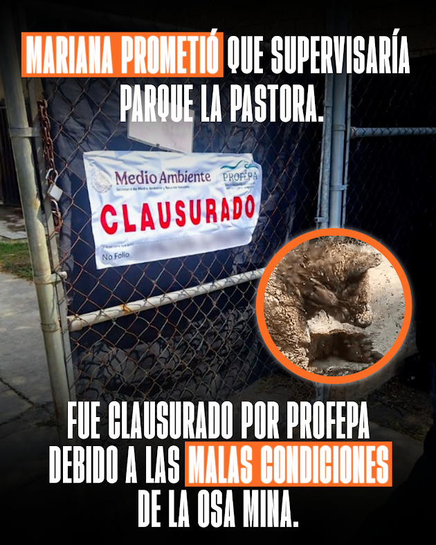 El Escándalo De La Osa Mina Ha Puesto En Entredicho El Compromiso De Mariana Rodríguez. 