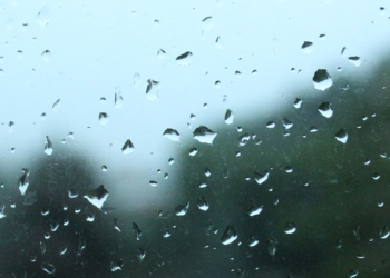 Las Lluvias En Nuevo León