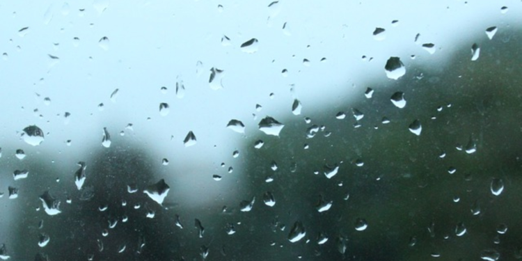 Las Lluvias En Nuevo León - Enbroncados