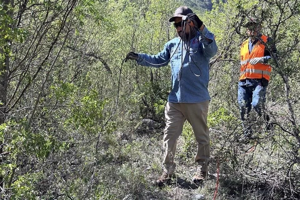 Image - Enbroncados La Profepa Tuvo Que Intervenir Al Revisar Los Daños Causados Por Las Obras De La Rompepicos 2.