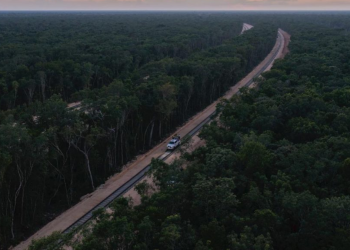 Tren Maya - Enbroncados