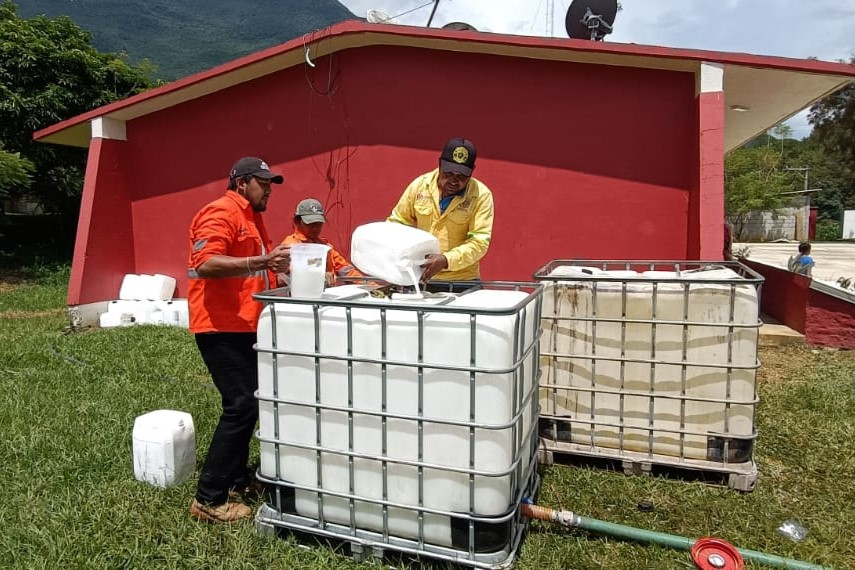 Image - Enbroncados Oaxaca-plagas-forestales-insectos