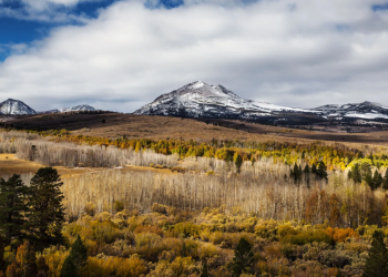 Falta-de-nieve-incendio-forestal-suministro-de-agua-oeste-de-eeuu-cambio-climático - Enbroncados