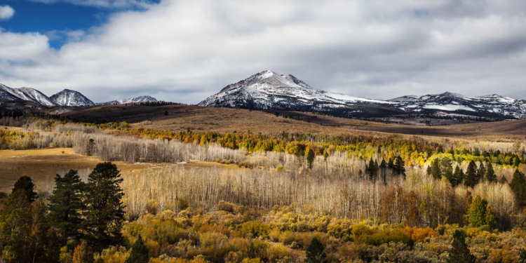 Falta-de-nieve-incendio-forestal-suministro-de-agua-oeste-de-eeuu-cambio-climático - Enbroncados