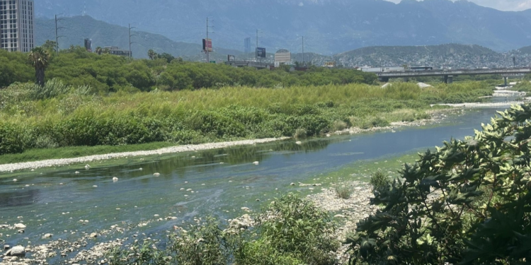 Vigilar-las-obras-del-metro-samuel-garcía-deterioro-ambiental-activistas-río-santa-catarina - Enbroncados