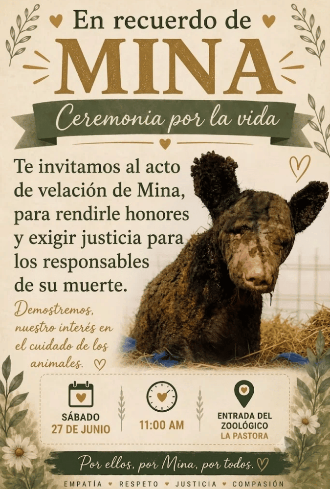Ceremonia Por La Vida De La Osa Mina En La Pastora Para Pedir Justicia Para La Osa Mina - Enbroncados