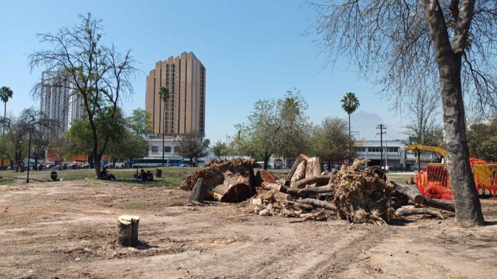 Arboles-nuevo-leon-samuel-garcia - Enbroncados Construction Debris and Uprooted Tree Trunk in a City Park with High-rise Buildings in the Background. - Enbroncados