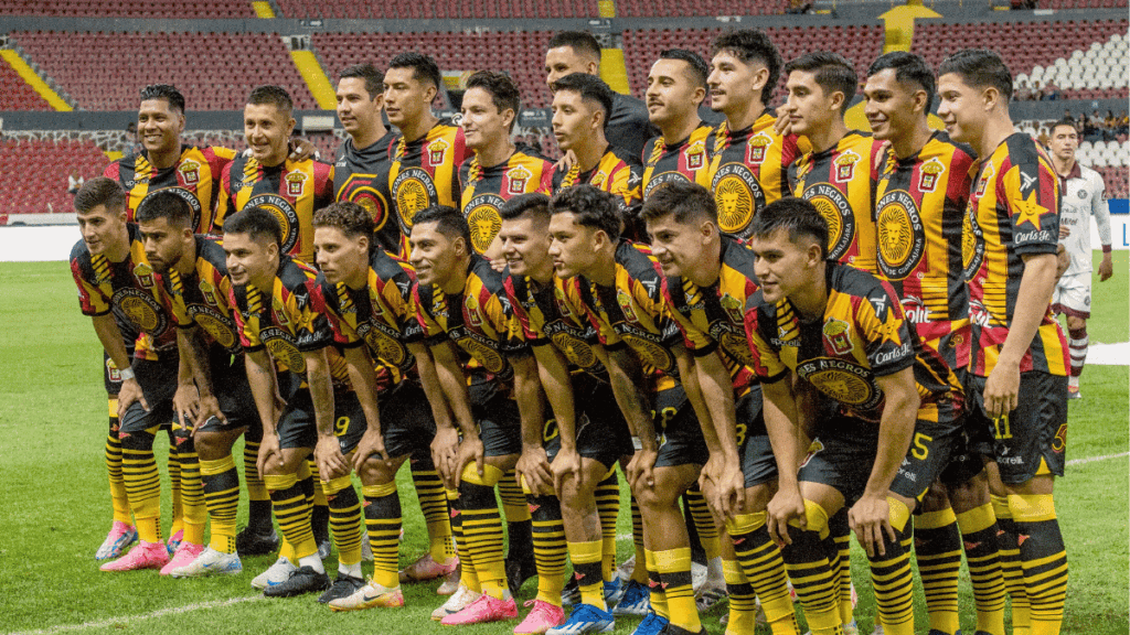 Leones Negros - Enbroncados El Presidente De Leones Negros - Enbroncados