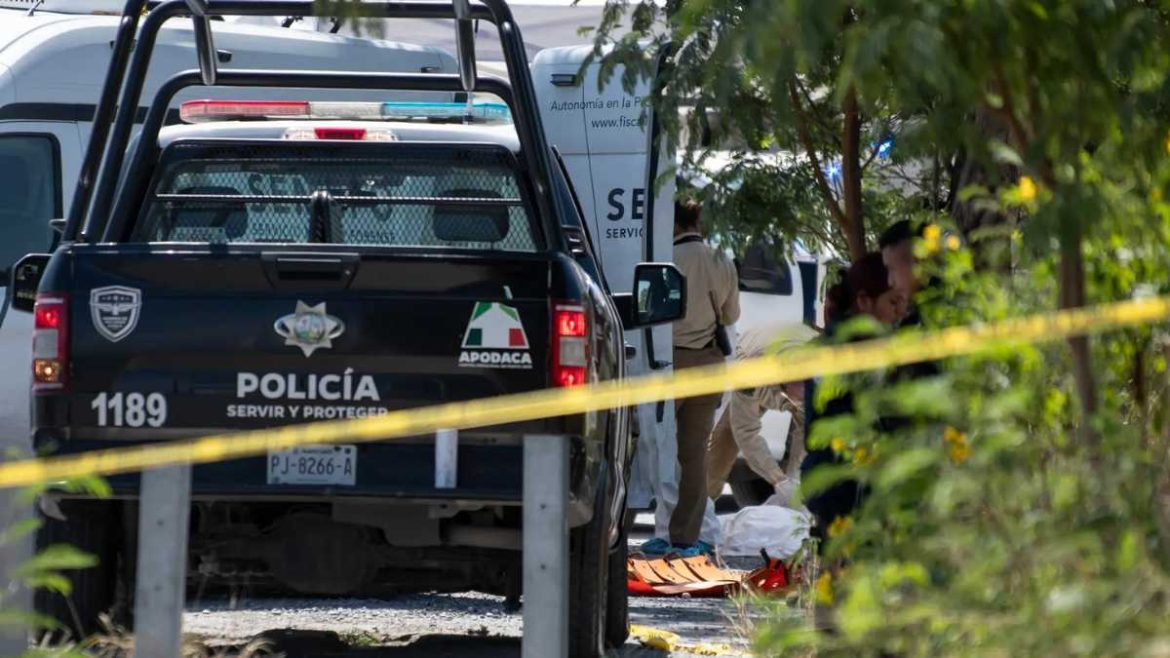 Récord de Violencia: Suman 216 Ejecuciones en Nuevo León