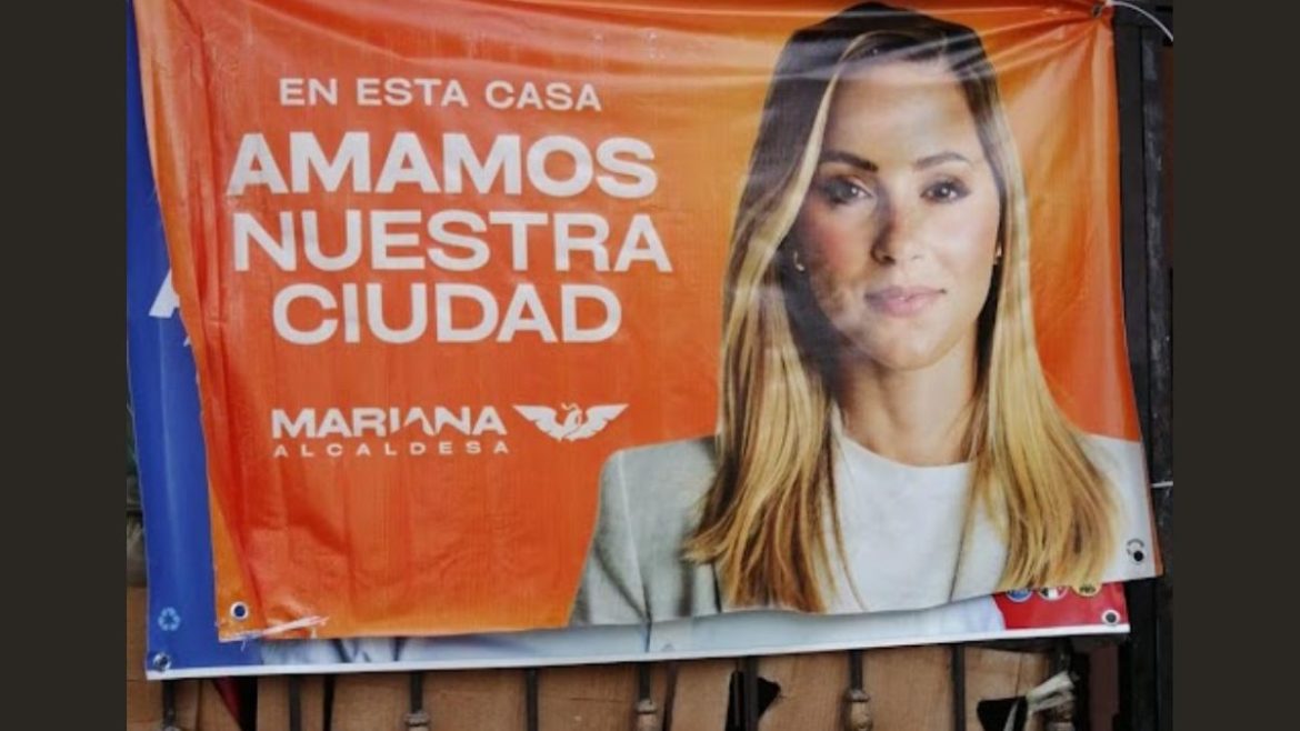 ¡Alerta de Delitos Electorales! Movimiento Ciudadano Borra Publicidad de la Oposición