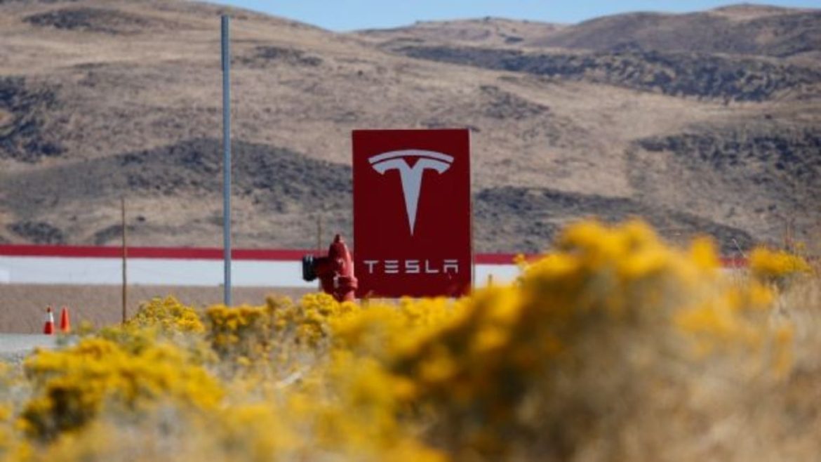 Mentiras de Samuel al Descubierto: Tesla Elimina Todas las Ofertas de Empleo para NL