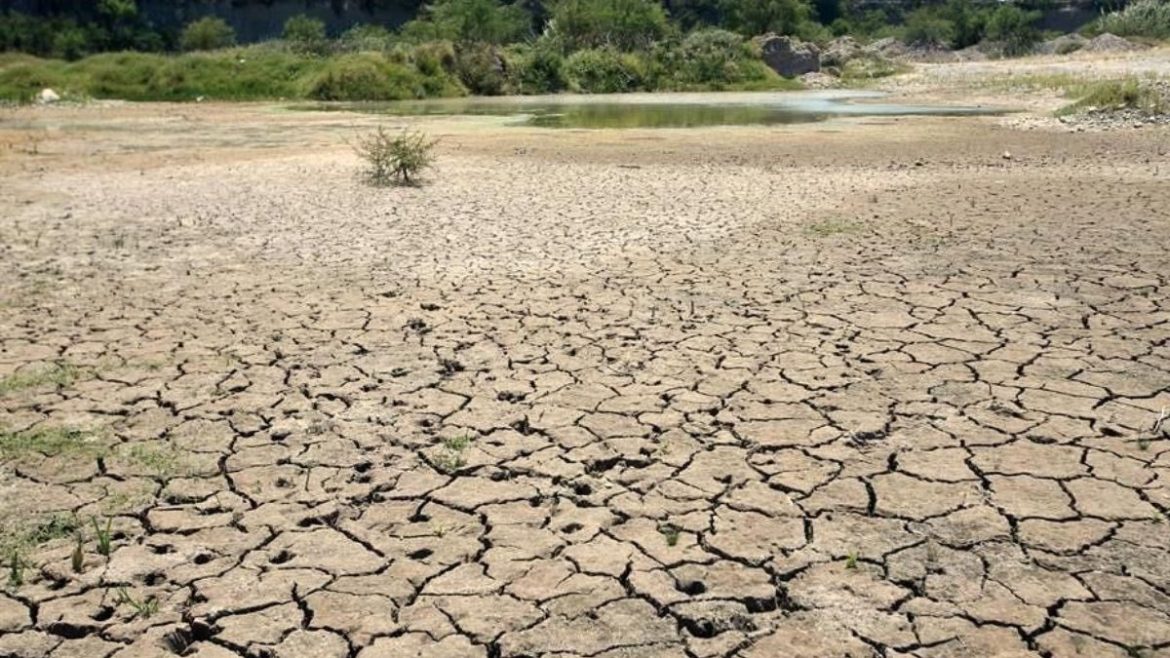 Sequía en Nuevo León: Un Panorama Desolador