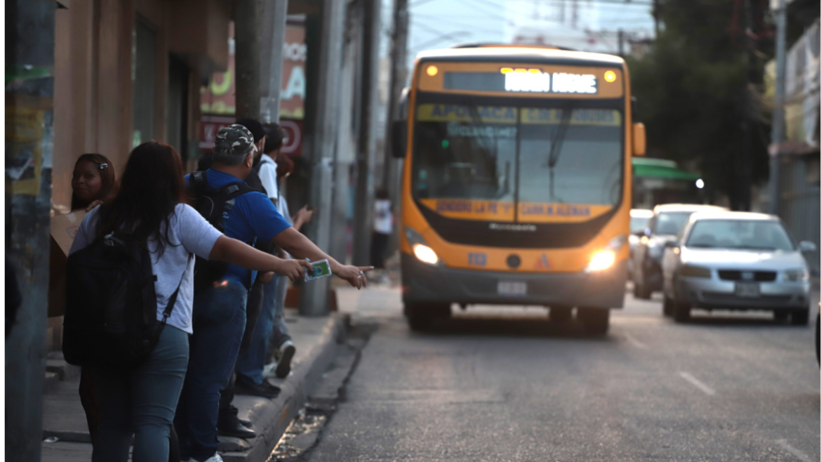 Movilidad - Enbroncados