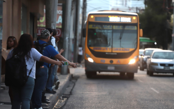 Movilidad - Enbroncados